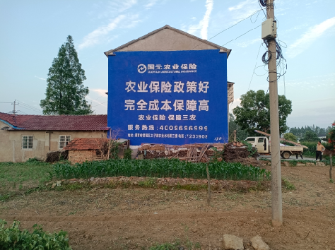  邓州墙体广告的优劣势你知道吗？